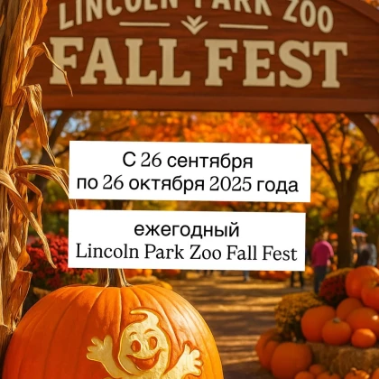 photo-osenniy-festivaly-v-lincoln-park-zoo-v-chikago