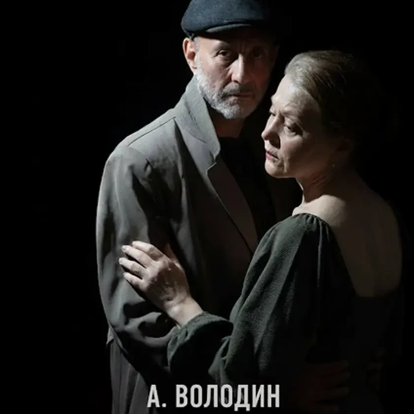 photo-five-evenings-in-tampa