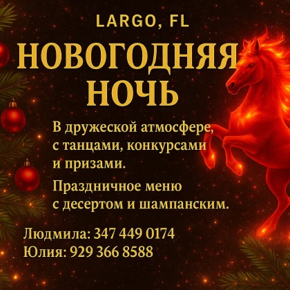 photo-novogodnyaya-nochy-v-pinellas-park-fl-vstrechay-2026-god-s-dushoy