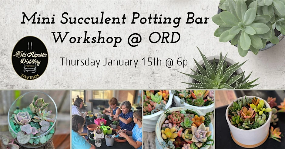 photo-mini-succulent-potting-bar-old-republic-distillery