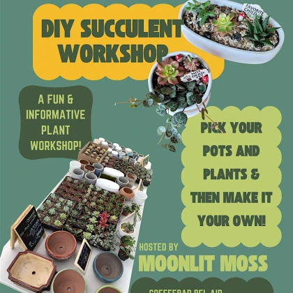 photo-diy-succulent-workshop