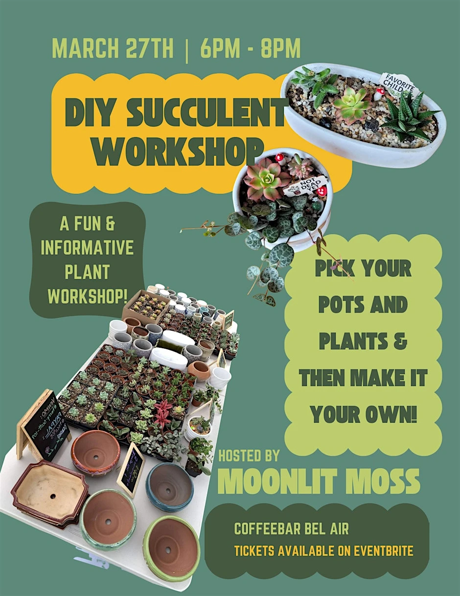photo-diy-succulent-workshop