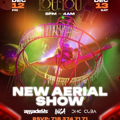 photo-new-aerial-show-in-lou-lou-new-york