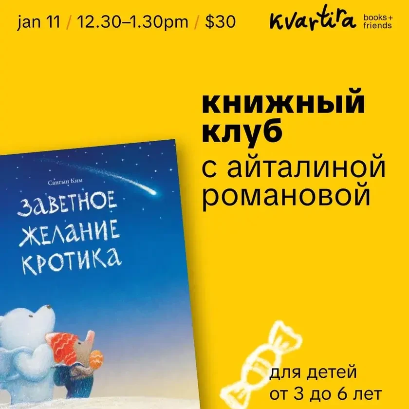 photo-knizhniy-klub-s-aytalinoy-romanovoy-in-new-york-8