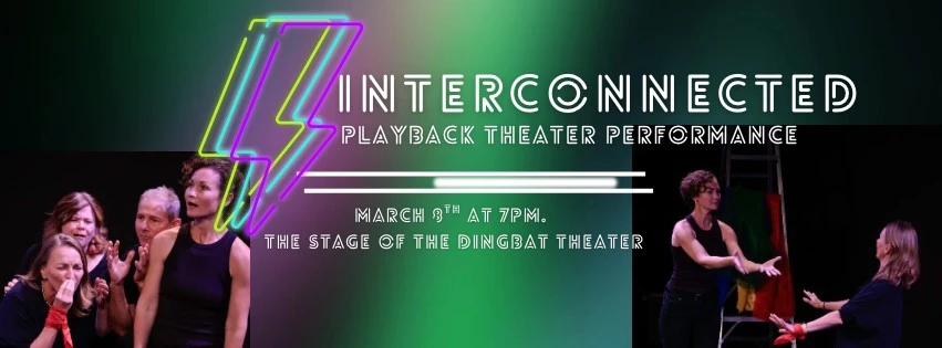 photo-interconnected-playback-theater-performance
