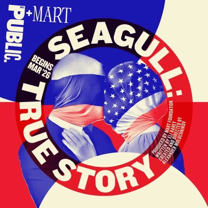 photo-seagull-true-story-in-new-york