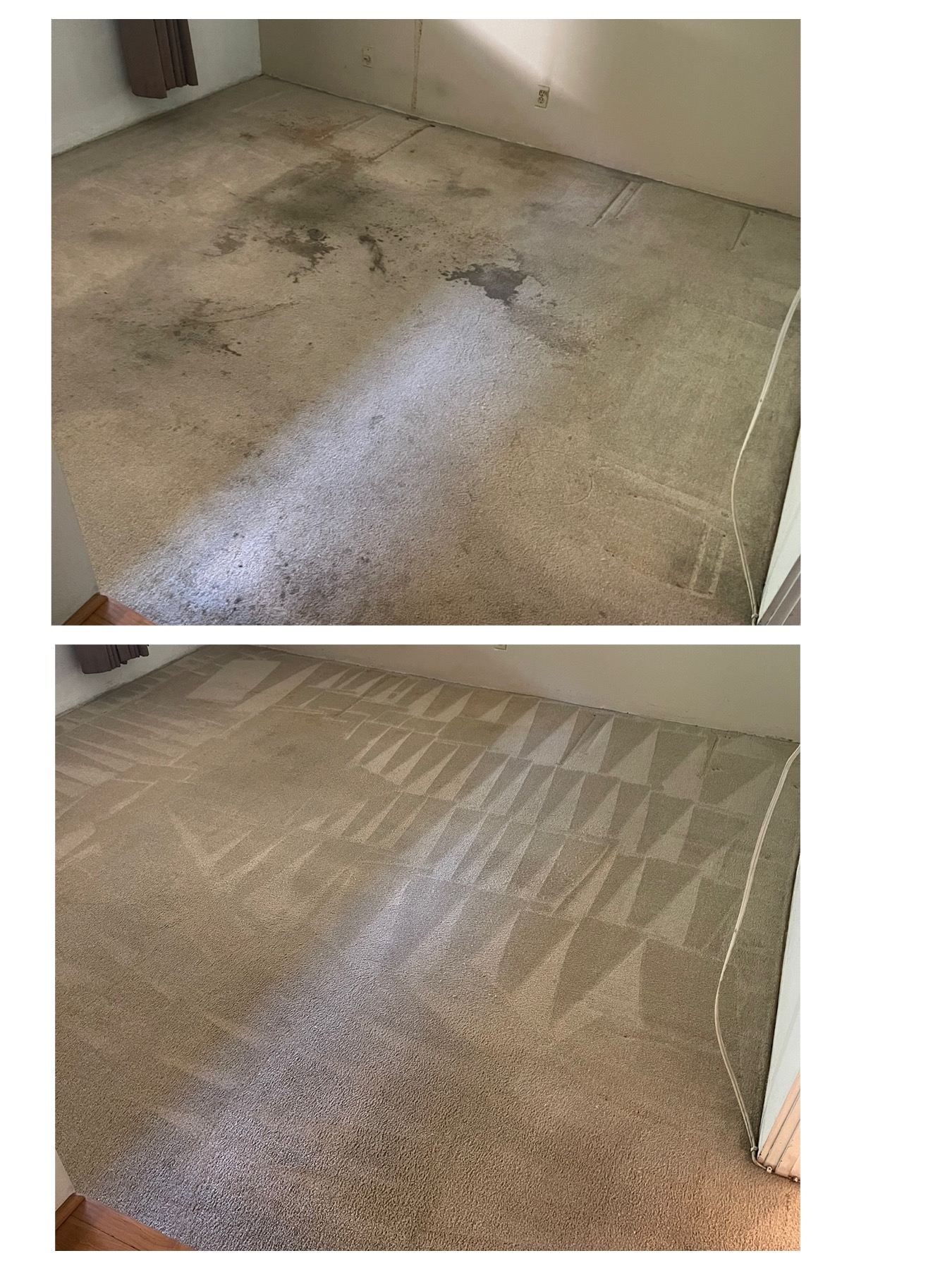Ukrainian Carpet Cleaning - Фото 3