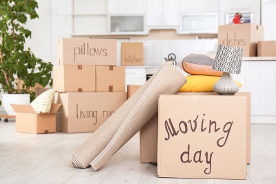 Moving/Перевозки - Фото 2