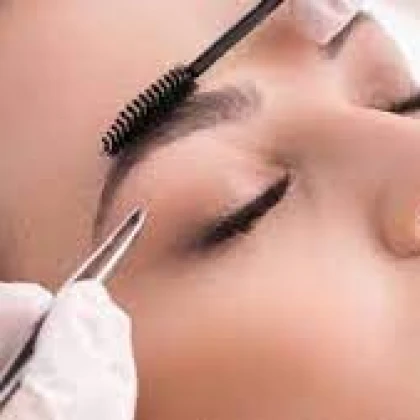 uslugi-brovista-photo