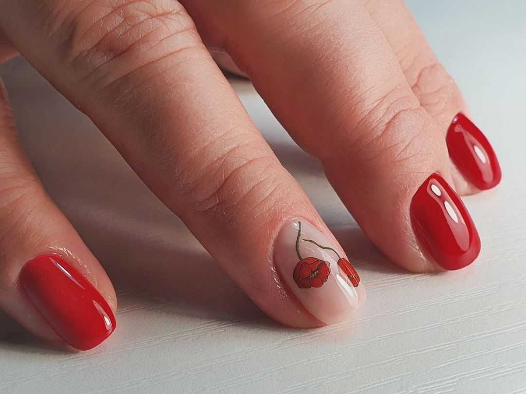 Nails/Brows/Lashes - Фото 2