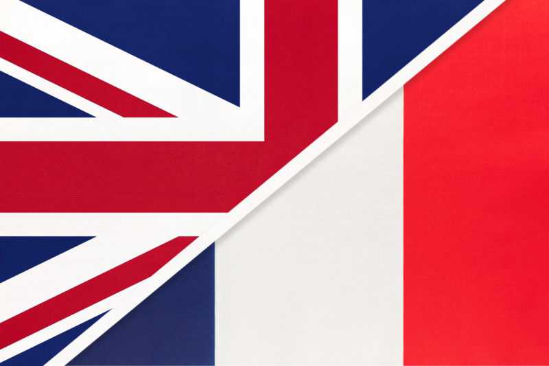 French and English online tutor (репетитор французского и английского языков) - Фото 2