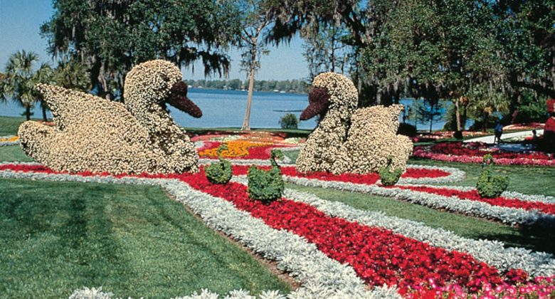 Ботанический сад Cypress Gardens - Фото 3