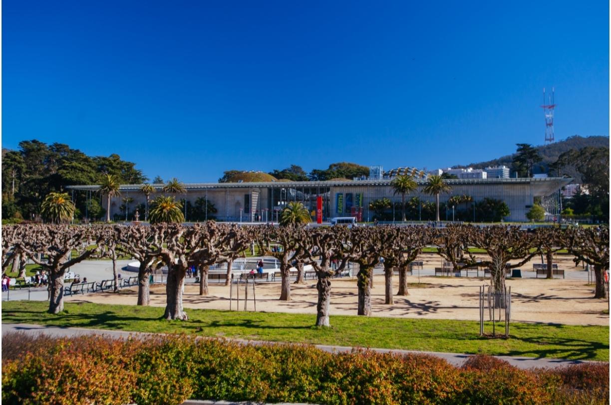 Калифорнийская академия наук (California Academy of Sciences) - Фото 2