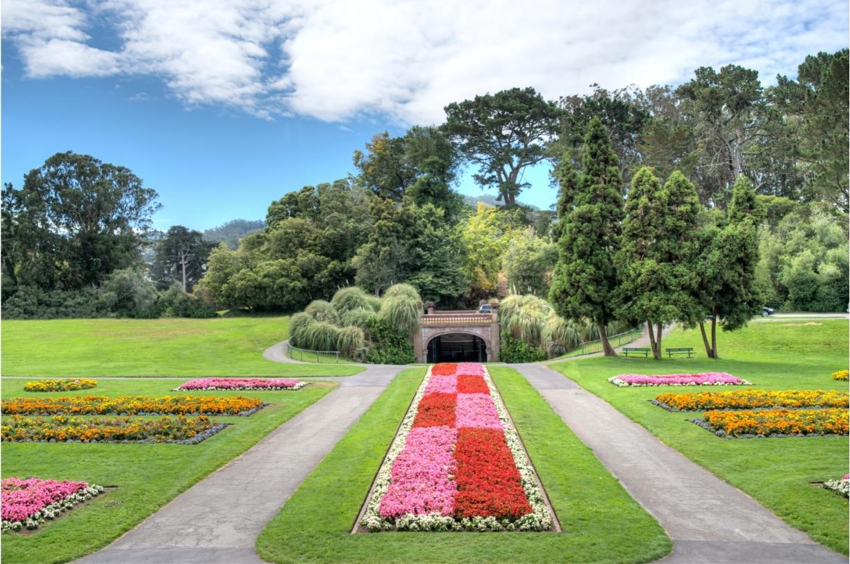 Парк Золотые Ворота (Golden Gate Park) - Фото 2