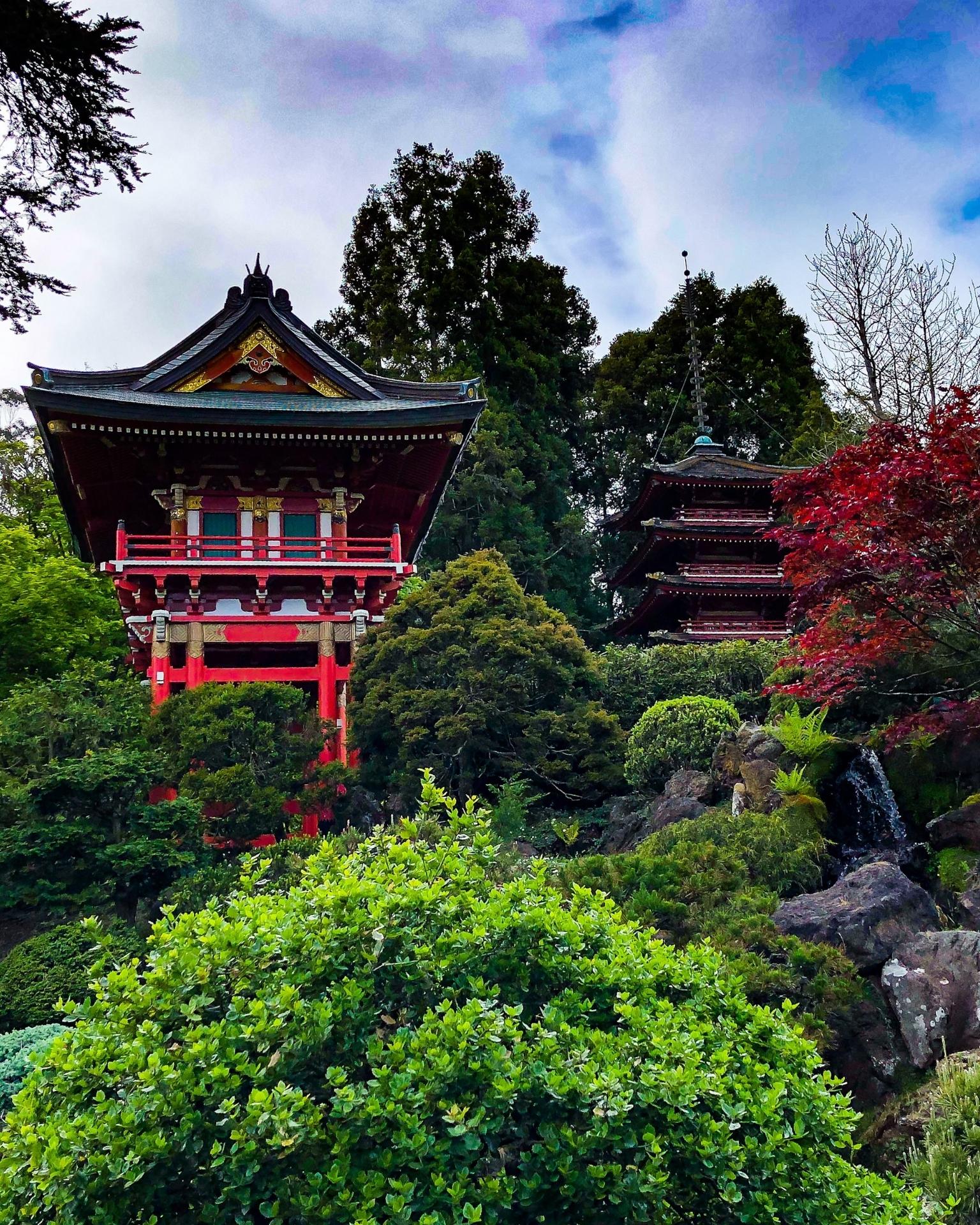 Парк Золотые Ворота (Golden Gate Park) - Фото 3
