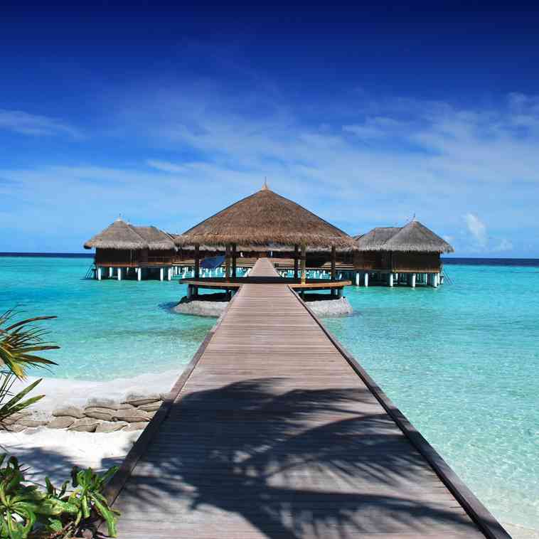 Travel the World Barbara Cobb - Фото 2
