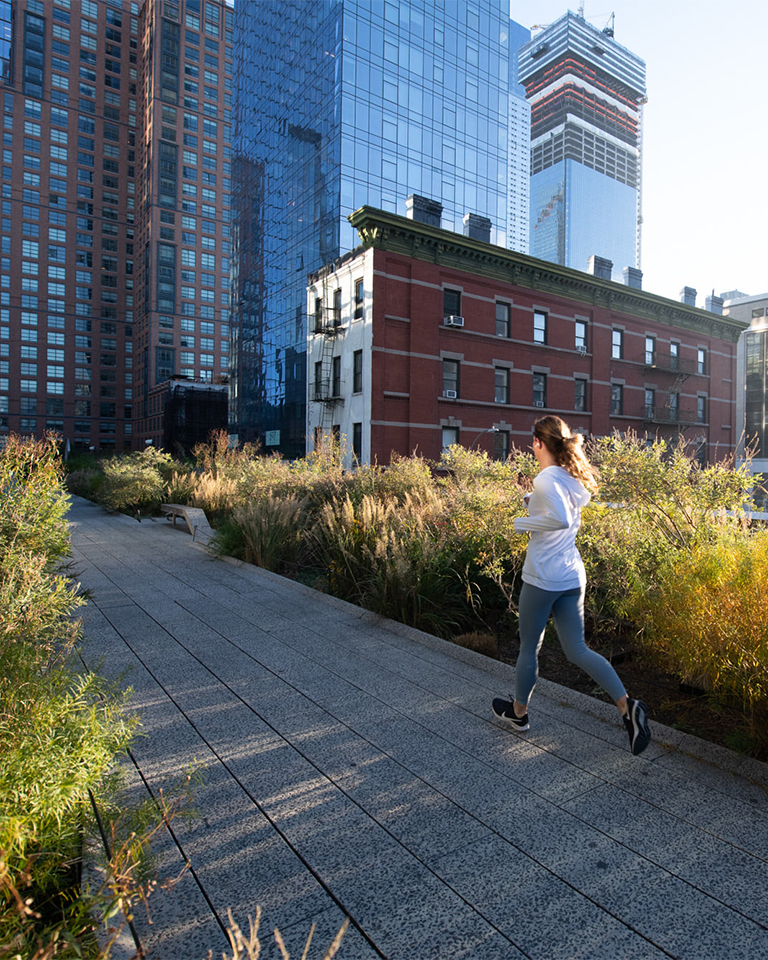 Парк Хай Лайн (The High Line Park) - Фото 3