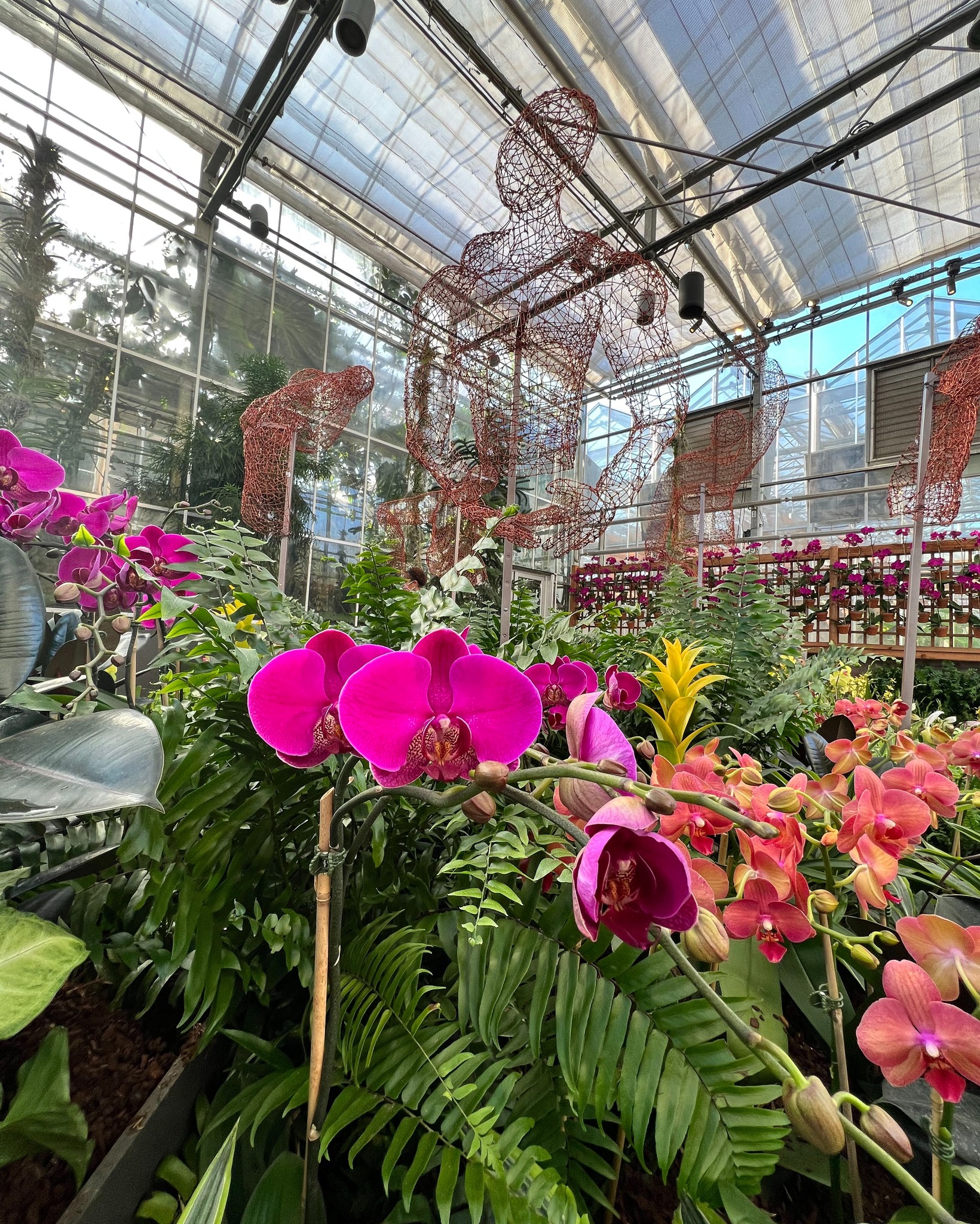 Ботанический сад Атланты / Atlanta Botanical Garden - Фото 4