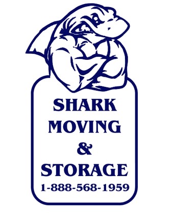 SharkMoving - Фото 2