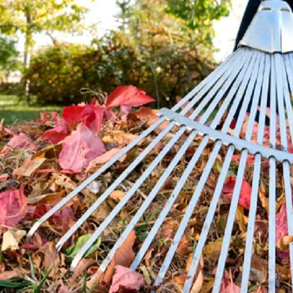 uslugi-klininga-photo