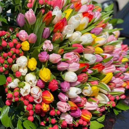 photo-fiori-flowers