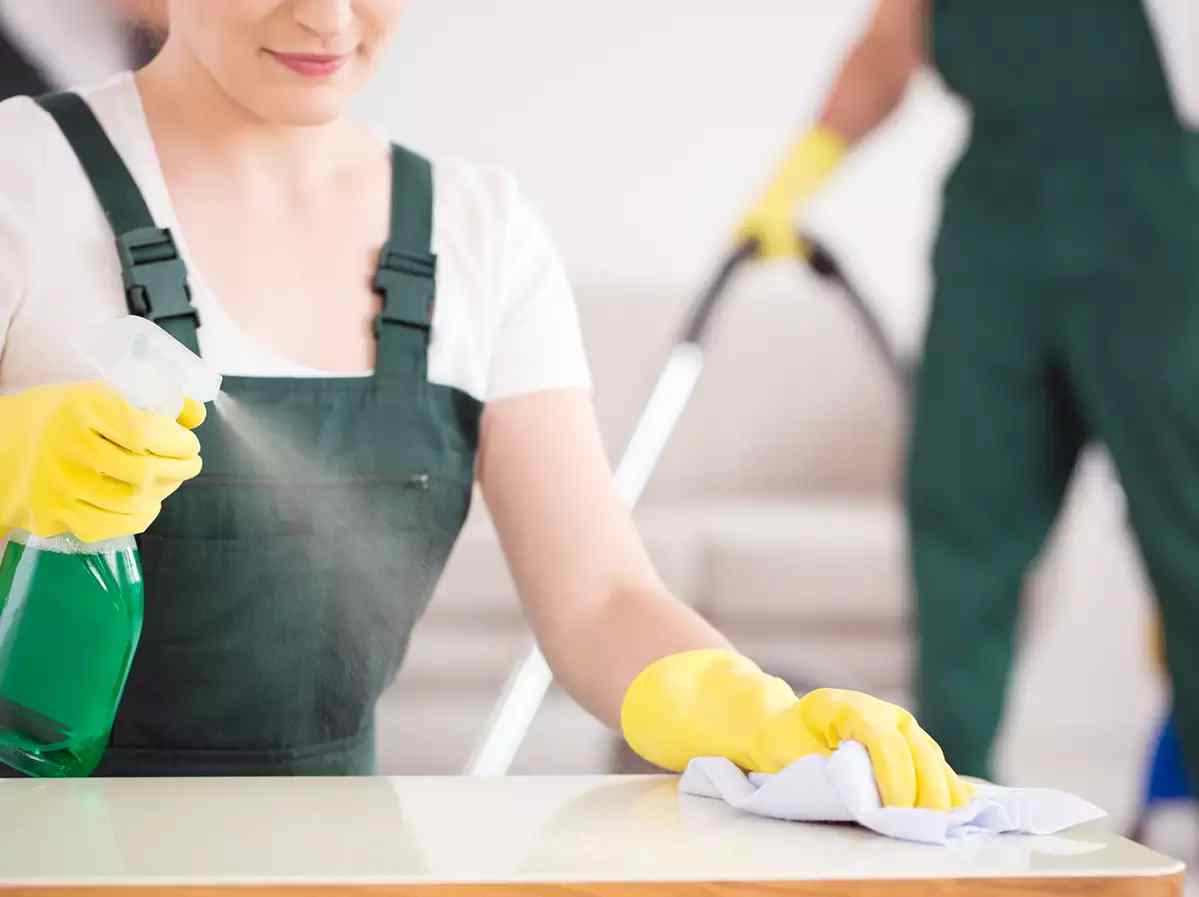 Professional Cleaning - Фото 2