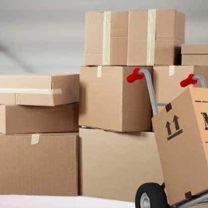 ne-bolshie-perevozki-photo