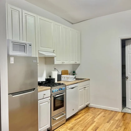 alexander-cleaning-1-photo