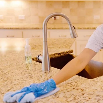 tatiana-cleaning-service-1-photo