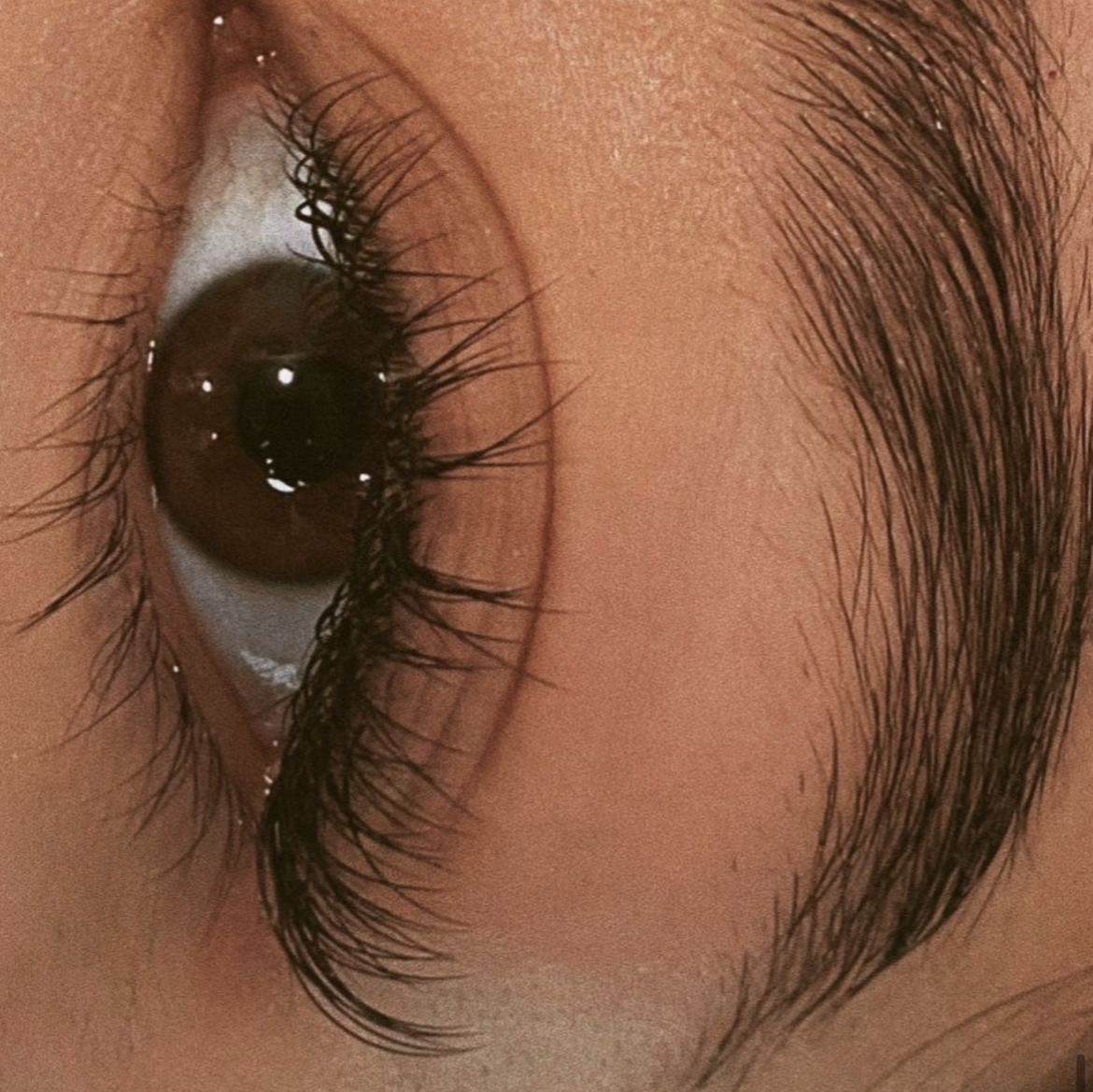 LOS ANGELES LASHES BY DI - Фото 2