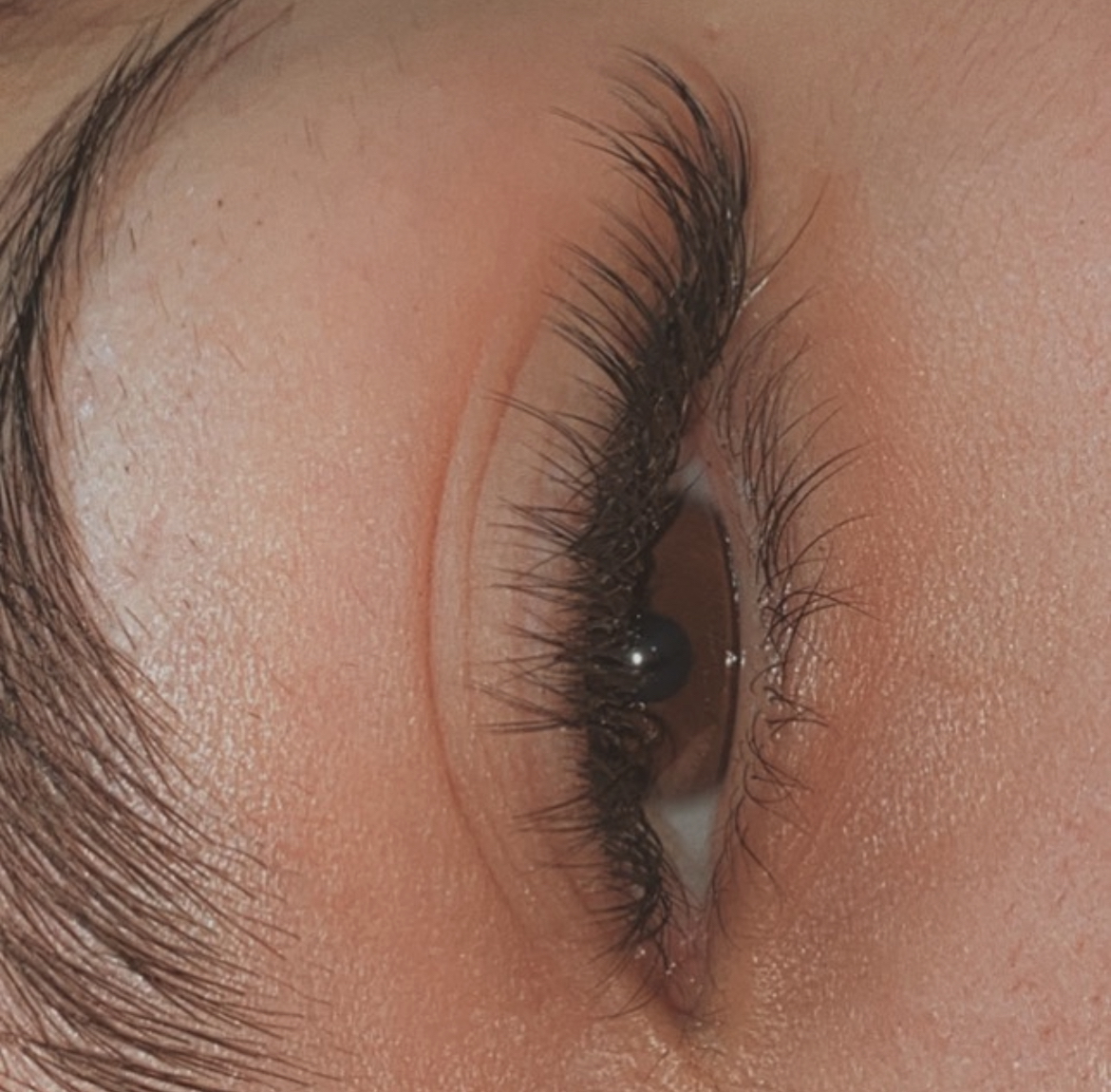 LOS ANGELES LASHES BY DI - Фото 3