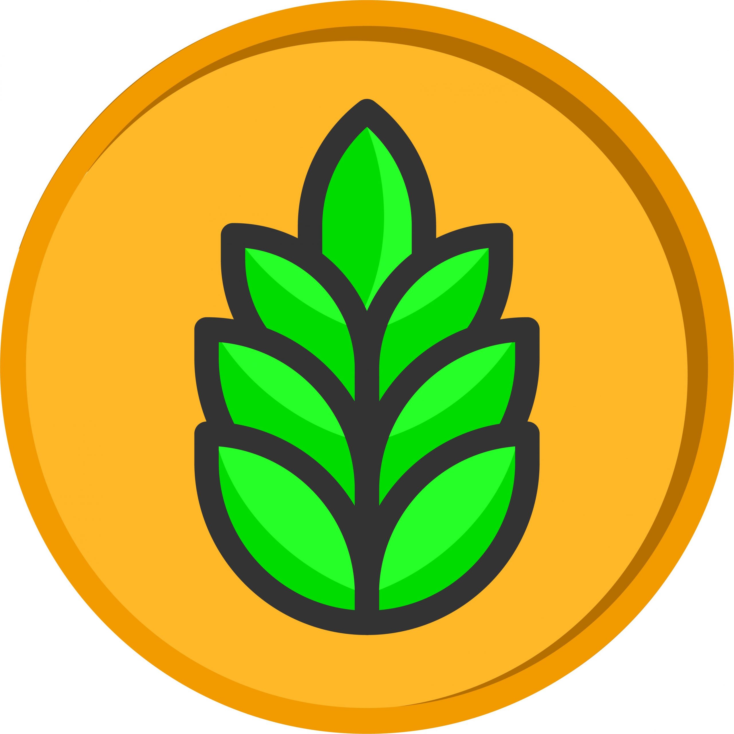 Buy land token ZEISI - Фото 2