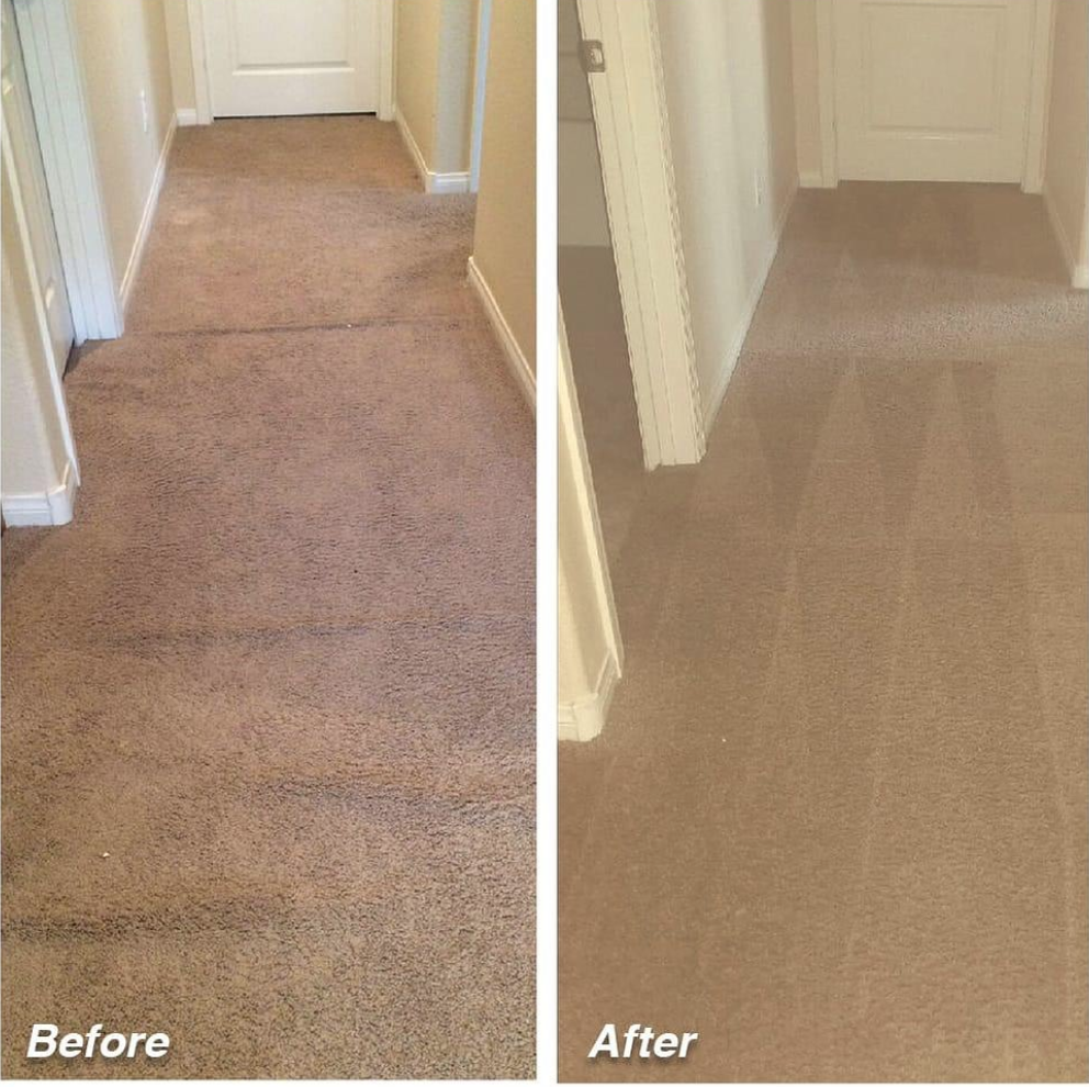 Red Carpet Cleaning - Фото 5