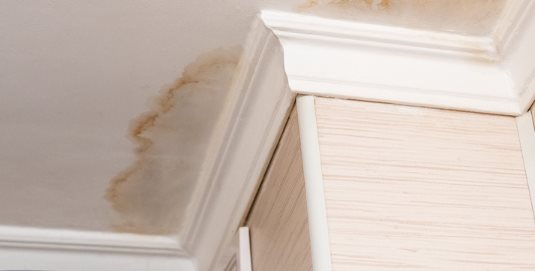 Alexander Petrov, Restoration of Walls and Ceilings - Фото 3
