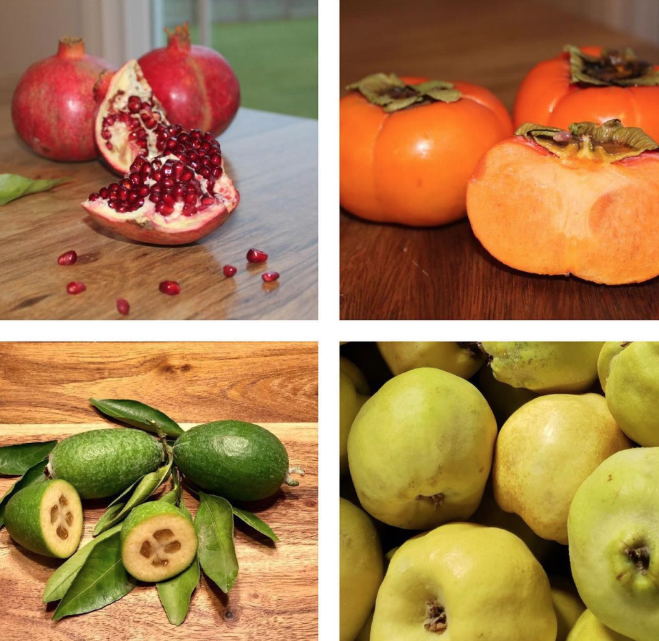 Fruitbox, Fruit delivery - Фото 4
