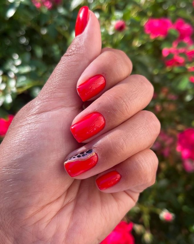 Naperville Nails - Фото 4