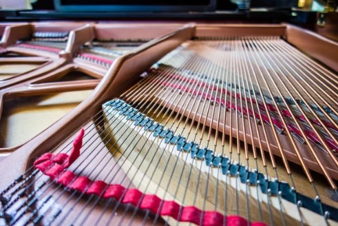 Настройщик Пианино, Piano tuner - Фото 2