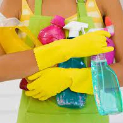 Polishmaid Service