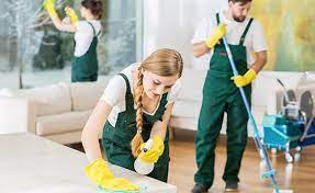 Polishmaid Service - Zdjęcie 5