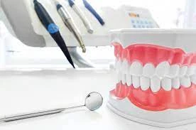 Dr. Irina Bolotnikova, DDS