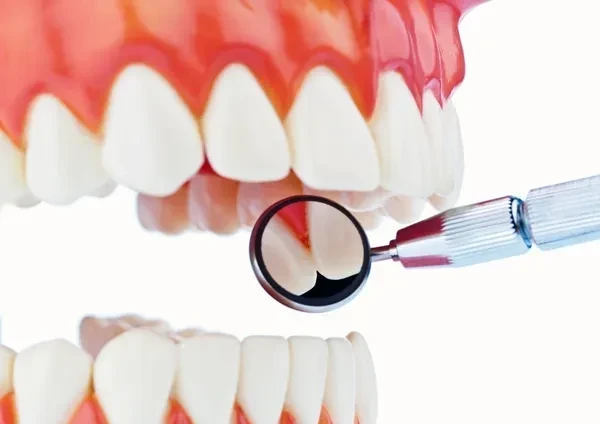 Forest Dental Care - Zdjęcie 4