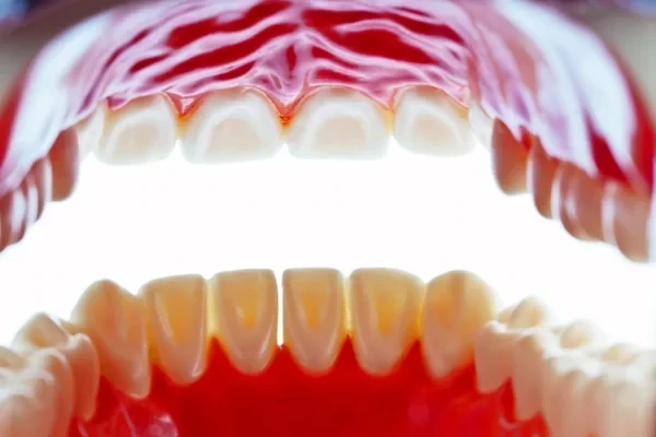 Forest Dental Care - Zdjęcie 3