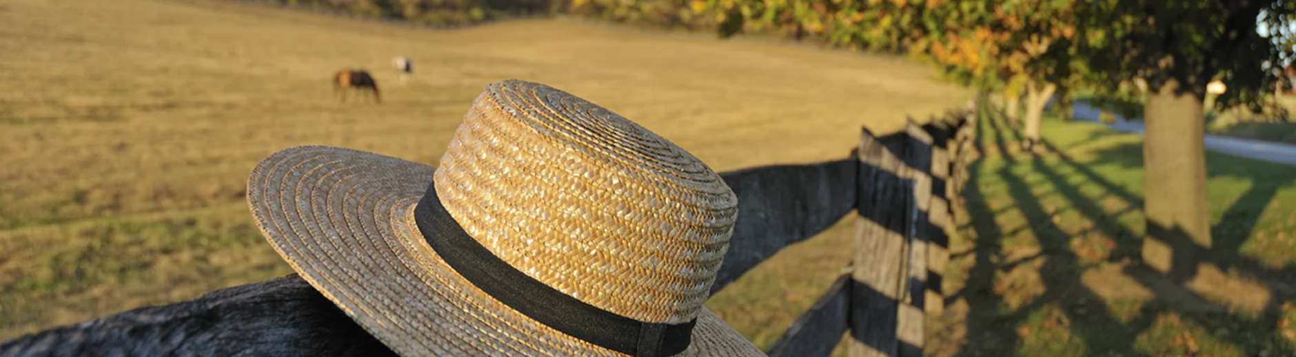 "Amish Farmers", Sklep Spożywczy - Zdjęcie 4