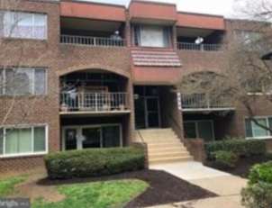 Ania Galecki-Tomar, Pośrednik w Obrocie Nieruchomościami, "Long & Foster North Potomac/Rockville, MD - Realty" - Zdjęcie 6