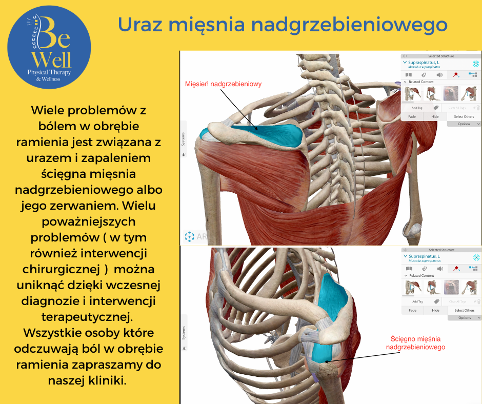 Be Well Physical Therapy and Wellness, Inc. - Zdjęcie 3