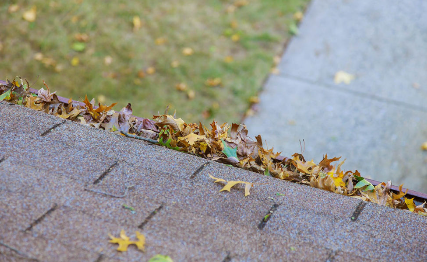 Chicago North Shore Window & Gutter Services - Zdjęcie 4