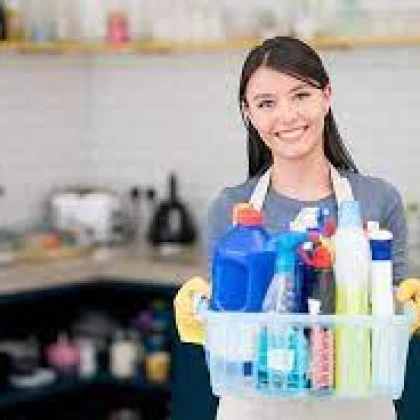 Continental Maid Service