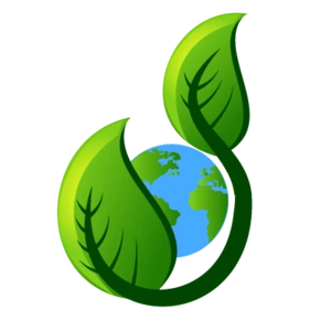 EcoClean Services - Czyszczenie Karpetów