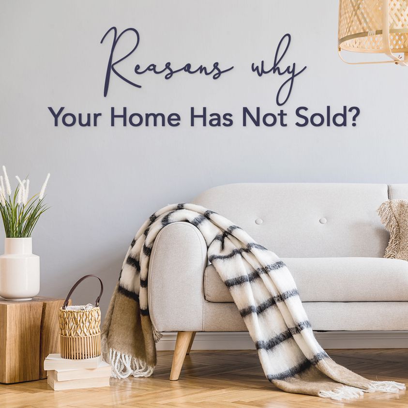 Elzbieta Przydzial - Westfield, NJ Real Estate Agent - Zdjęcie 3