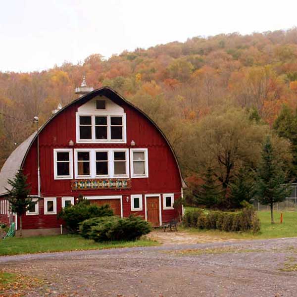 Homestead Farm Resort - Zdjęcie 5